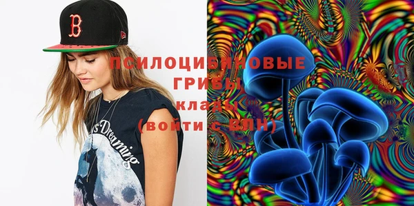 герыч Пестово