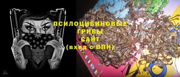 крисы Пересвет
