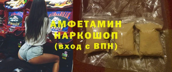 ГАЛЛЮЦИНОГЕННЫЕ ГРИБЫ Абаза