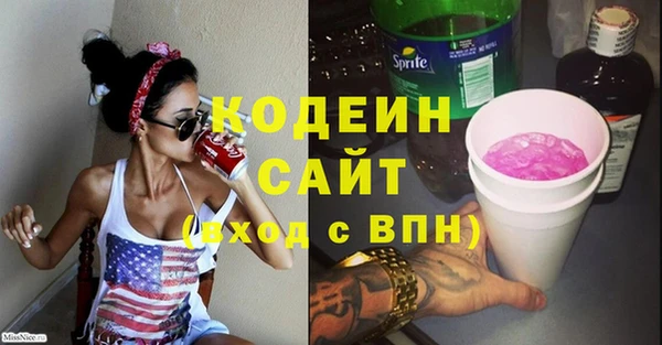 индика Абинск