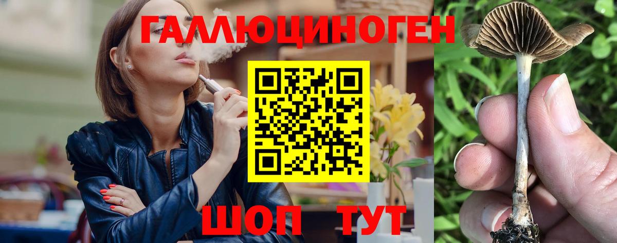 Псилоцибиновые грибы Psilocybine cubensis Отрадное