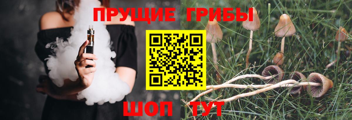 Отрадное  Галлюциногенные грибы мухоморы  Вход с VPN  Галлюциногенные грибы Psilocybine cubensis 